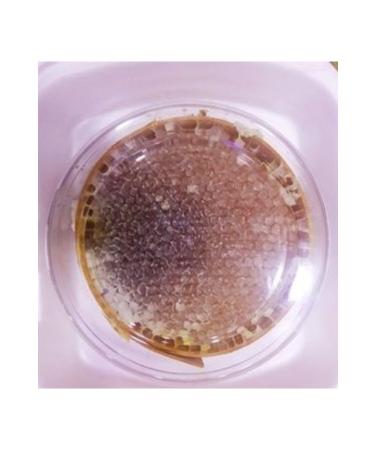 Erzincan Genuine Natural Eastern Anatolia Region Karakovan Honey 1200 -1300 Gr - Buy Online on GoSupps.com