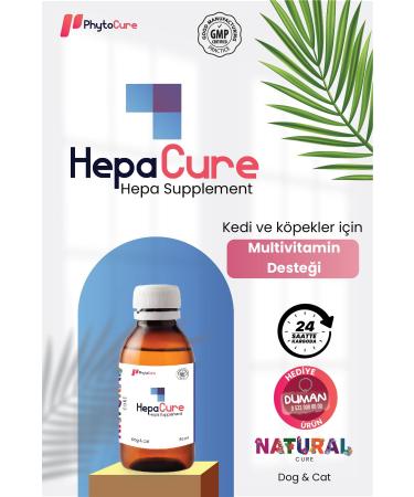 PhytoCure Hepa Cure - Liver Health Support
