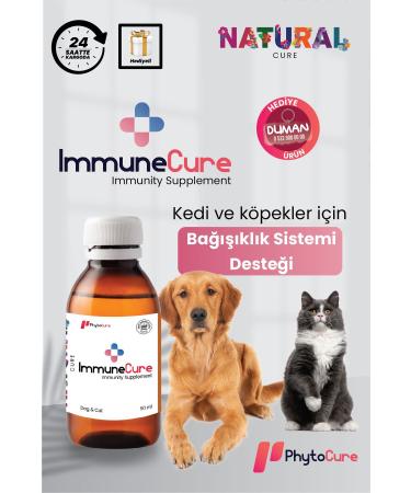 PhytoCure Immune Cure - Immune System Supporter