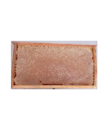 BINGOL HONEY 3 Kg Organic Bingol Comb Honey