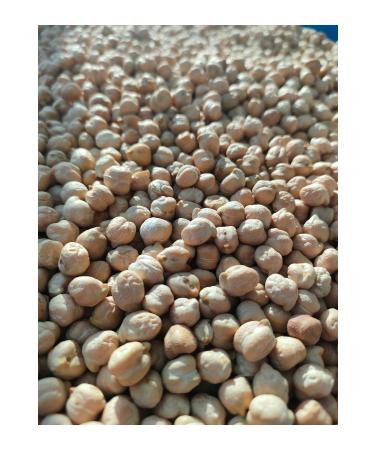 YAYLAKENT PULSES Chickpeas 5 Kg