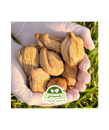 Germencik Organic Award-winning Ayd n ar klar Dried Mountain Fig with Walnut 500 gr (Energy Store Fig with Walnut) - Buy Online on GoSupps.com