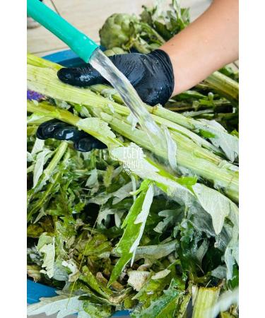 RETURN TO THE AEGEAN Artichoke Juice - 1 Liter-Glass Bottle - (Pure Detox Juice Antioxidant Concentrated Drink Liver Friendly) - Buy Online on GoSupps.com