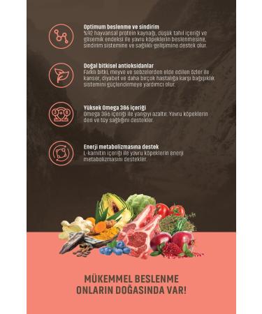 Spectrum Low Grain Lamb and Blueberry Small Breed Puppy Food 2.5 Kg - Buy Online on GoSupps.com