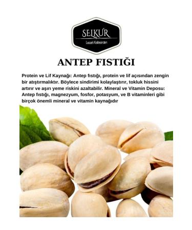 SELKUR Pistachio 500gr (VACUUM PACKAGE ROASTED) - Buy Online on GoSupps.com