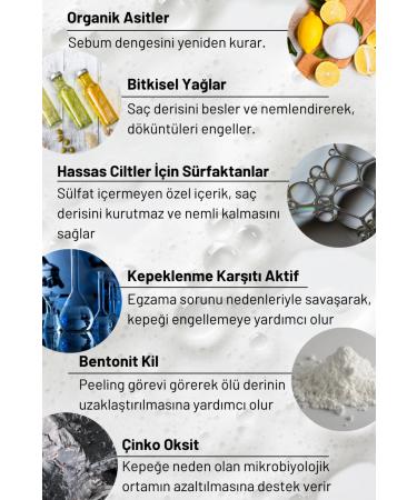 Ye ilmarka Natural Shampoo - Dandruff Hair - Organic Content and Vegan - Anti-Dandruff Special Formula - Buy Online on GoSupps.com