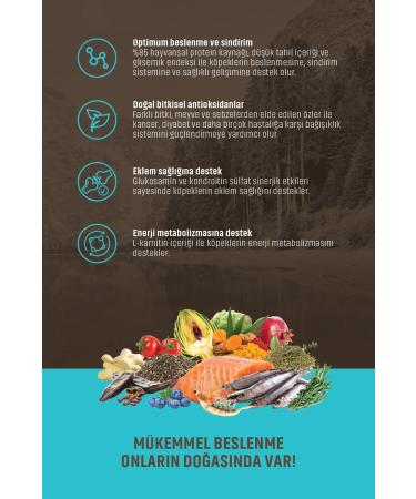 Spectrum LOW GRAIN SALMON ANCHORICE BLUEBERRY MEDIUM AND LARGE BREED ADULT DOG FOOD 12 KG - Buy Online on GoSupps.com