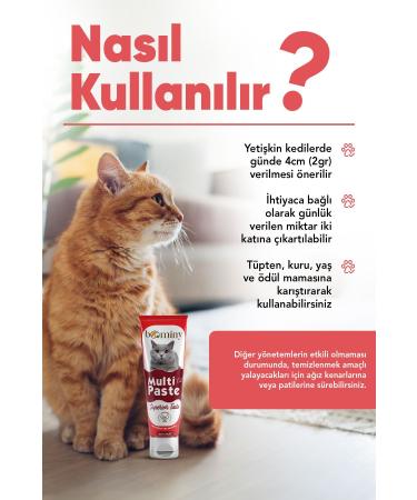 bominy pet Cat Malt Paste Hairball Prevention Multipaste Laurine 13 Vitamin Cat Vitamin 100 gr - Buy Online on GoSupps.com