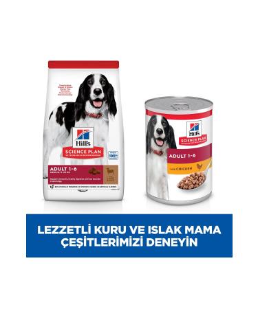 Hill's SCIENCE PLAN Lamb and Rice Medium Breed Adult Dog Food 2.5kg - Buy Online on GoSupps.com