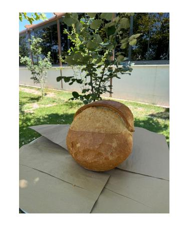 TAT BLACK SEA SOURDOUGH Oze Stone Oven Bread 1885g - Buy Online on GoSupps.com