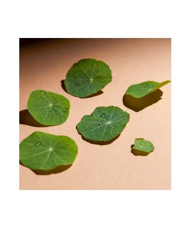 erborian CC Cr me - Travel Size Brightening Care - Dore 15 ml - Buy Online on GoSupps.com