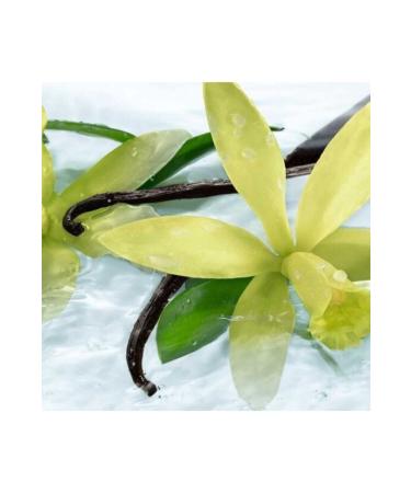 Yves Rocher Body Milk -Organic Vanilla - 200ml - Buy Online on GoSupps.com