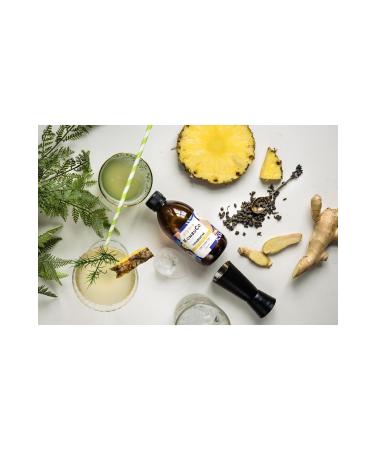 KombuCo Kombucha Kombucha Green Tea-pineapple-ginger - 250ml - Buy Online on GoSupps.com