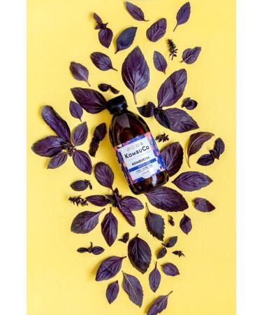 KombuCo Kombucha Kombucha Reyhan - Buy Online on GoSupps.com