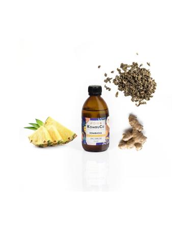 KombuCo Kombucha Kombucha Green Tea-pineapple-ginger - 250ml - Buy Online on GoSupps.com