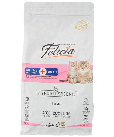 Felicia kitten mother hypoallergenic lamb cats 2kg