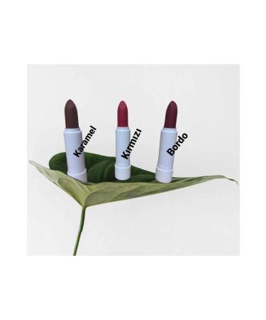 NATURAL HEALING MARKET Natural Lipstick (RED) Moisturizing and Nourishing Effect (FROM EDIBLE RAW MATERIALS)