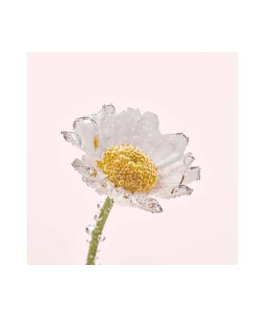 Yves Rocher Facial Cleansing Milk - Sensitive Skin / Pure Camomile Tonic and Make-Up Remover 200 ml - Buy Online on GoSupps.com