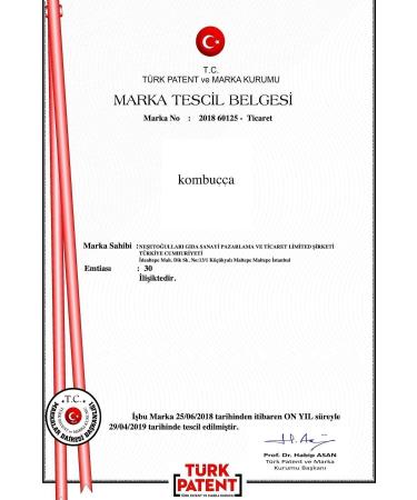 Kombucha Organic Kombucha Starter Kit Mushroom Kombucha Scoby - Kombucha Tea - Kombucha Culture Yeast - Buy Online on GoSupps.com