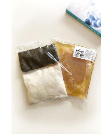 Kombucha Organic Kombucha Starter Kit Mushroom Kombucha Scoby - Kombucha Tea - Kombucha Culture Yeast
