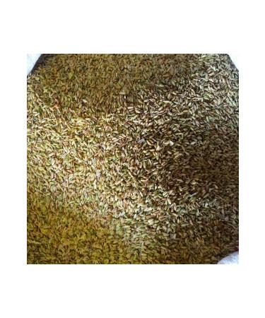 NATURE'S BLESSING Fennel 1 KG (Natural Dried Sifted Additive-Free)