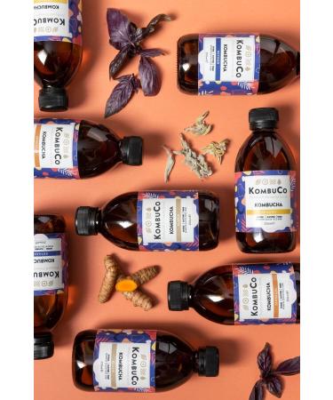 KombuCo Kombucha 1 Month Kombucha 24 Mixed Package - 250 ml