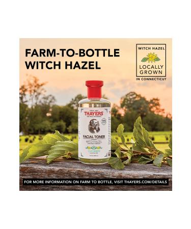 Thayers Witch Hazel & Cucumber Facial Toner 355ml - Buy Online on GoSupps.com