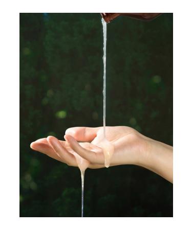 Nard Shampoo Tea Tree Rosemary - Tea Tree Rosemary Shampoo 500ml - Buy Online on GoSupps.com