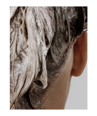 Nard Shampoo Tea Tree Rosemary - Tea Tree Rosemary Shampoo 500ml - Buy Online on GoSupps.com