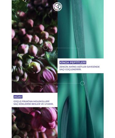 Yves Rocher Volume Shampoo for Fine Hair - Vegan - 300 ml - Buy Online on GoSupps.com