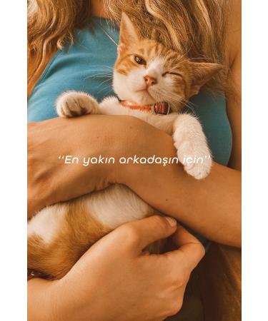 Texture Pet Paw Cleaning Foam - Buy Online on GoSupps.com