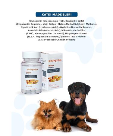 patiografya Premium Move G Glucosamine-glucosamine Joint Health Supporting Tablet for Cats and Dogs - Buy Online on GoSupps.com