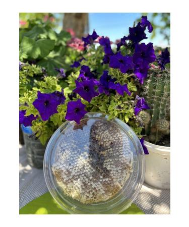 Aydin Artichoke Village Products 1 kg Karakovan Honey