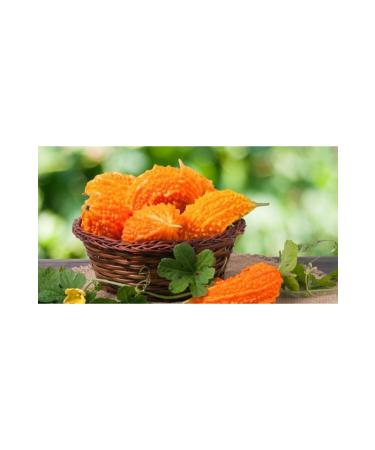 Mindivan Pomegranate with Olive Oil 300 Gr - Buy Online on GoSupps.com