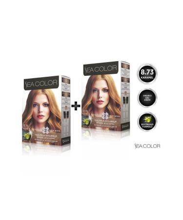 Sea Color 8.73 Caramel Set of 2 Paint