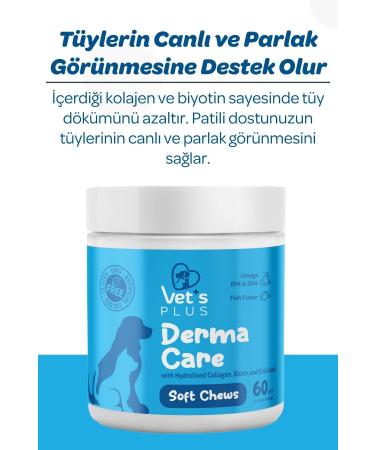 Vet's Plus Derma Care Chewable Tablets 60's (SKIN AND HAIR HEALTH SUPPORTER) - Buy Online on GoSupps.com