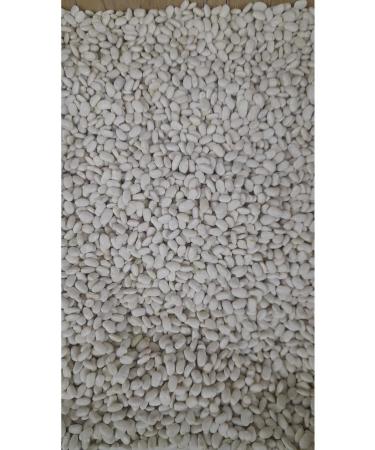 DRIED BEAN 3 KG