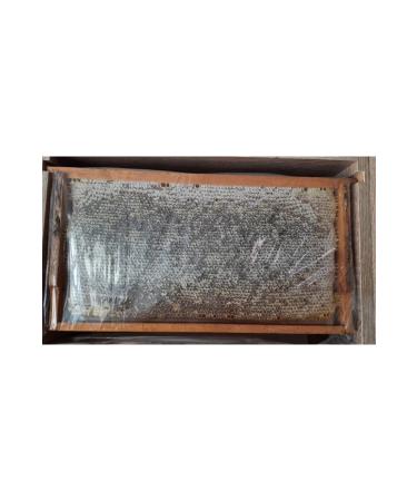  ilem Bal Yayla Comb Honey 3000-3750g - Buy Online on GoSupps.com