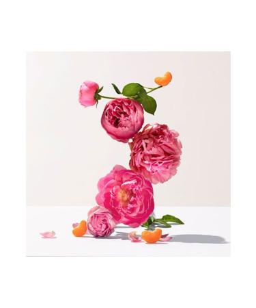 Roger&Gallet ROSE Rose Wellbeing Body Lotion Italian Mandarin - Damask Rose - Musk 250 ML - Buy Online on GoSupps.com