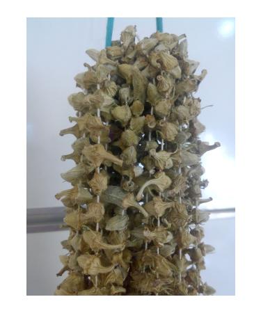 Karg Local Product Market Karg Dried Flower Okra-(50 GR) Our Region's Famous Natural Tiny Flower Okra - Buy Online on GoSupps.com