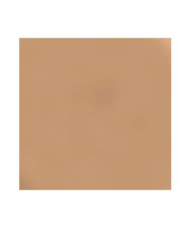 Kryolan Supracolor Foundation Large 55ml Gg - Buy Online on GoSupps.com