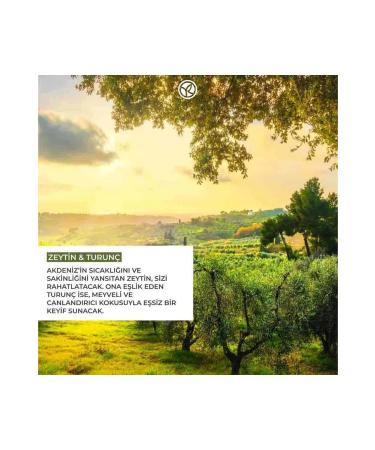 Yves Rocher Moisturizing Body Lotion - Refreshing Olive Citrus - 390ml - Buy Online on GoSupps.com