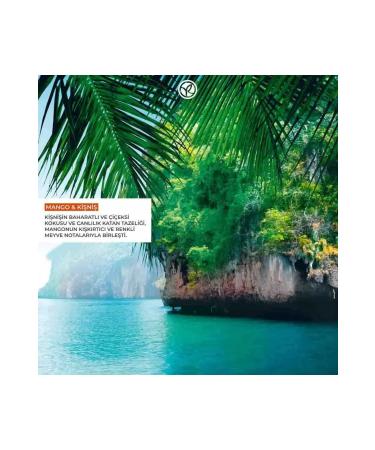 Yves Rocher Moisturising Body Lotion - Refreshing Mango Coriander - 390ml - Buy Online on GoSupps.com