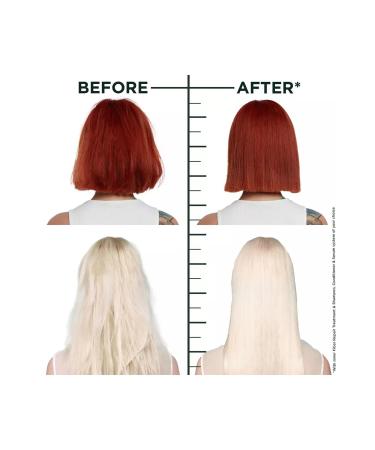 Garnier Fructis Hair Filler Bonding Hair Filler Inner Fiber Repair Pre-Shampoo Care 300ML - Buy Online on GoSupps.com