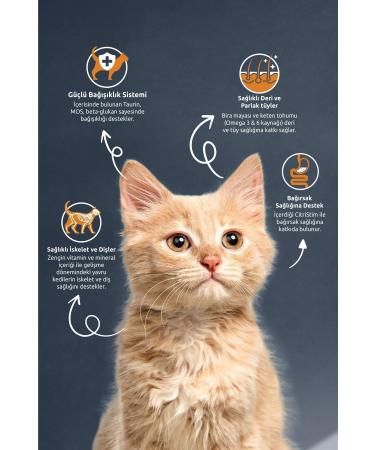 Reflex Kitten Chicken Rice Kitten Cat Food 2 Kg X 2 Pieces - Buy Online on GoSupps.com