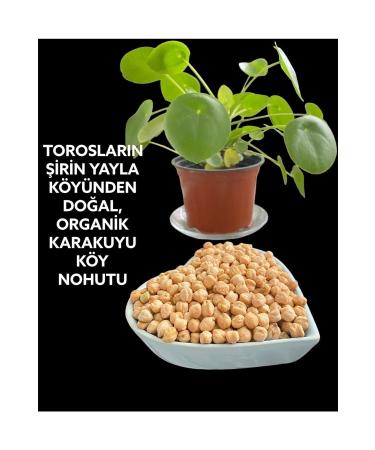 EM NE ALTINTA Organic Natural Saimbeyli Karakuyu Village Chickpeas 5 Kg - Buy Online on GoSupps.com