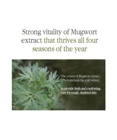 Pyunkang Yul Black Tea Encriched Cream Face Cream - Buy Online on GoSupps.com