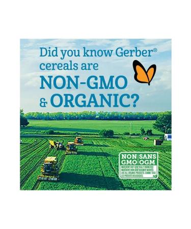 Gerber Cereals- Rice- Rice Spoon Food -227 Gr- From 4th month - 1st stage - Buy Online on GoSupps.com