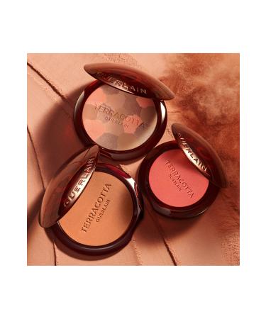 Guerlain Terra Blush 05 Blush - Buy Online on GoSupps.com