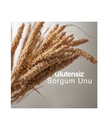 Dr.Paw Immunity Plus: Immune System Support Chewable Tablet (Small Breed) - Buy Online on GoSupps.com